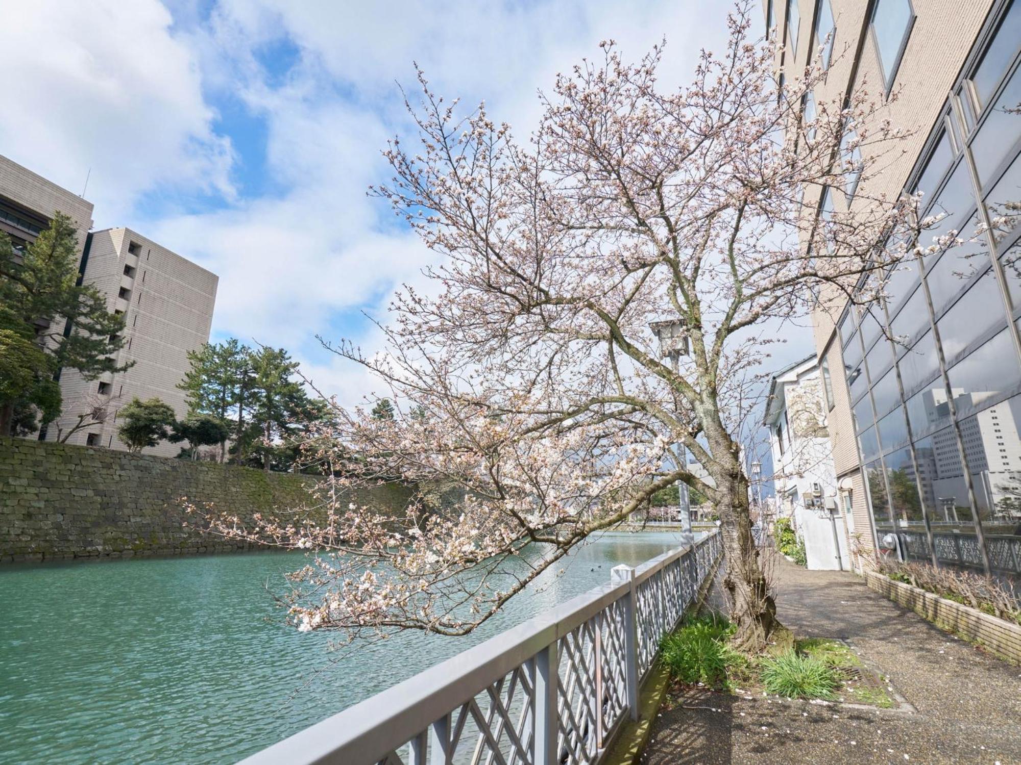Hotel Fukui Castle - Vacation Stay 58696V Ngoại thất bức ảnh