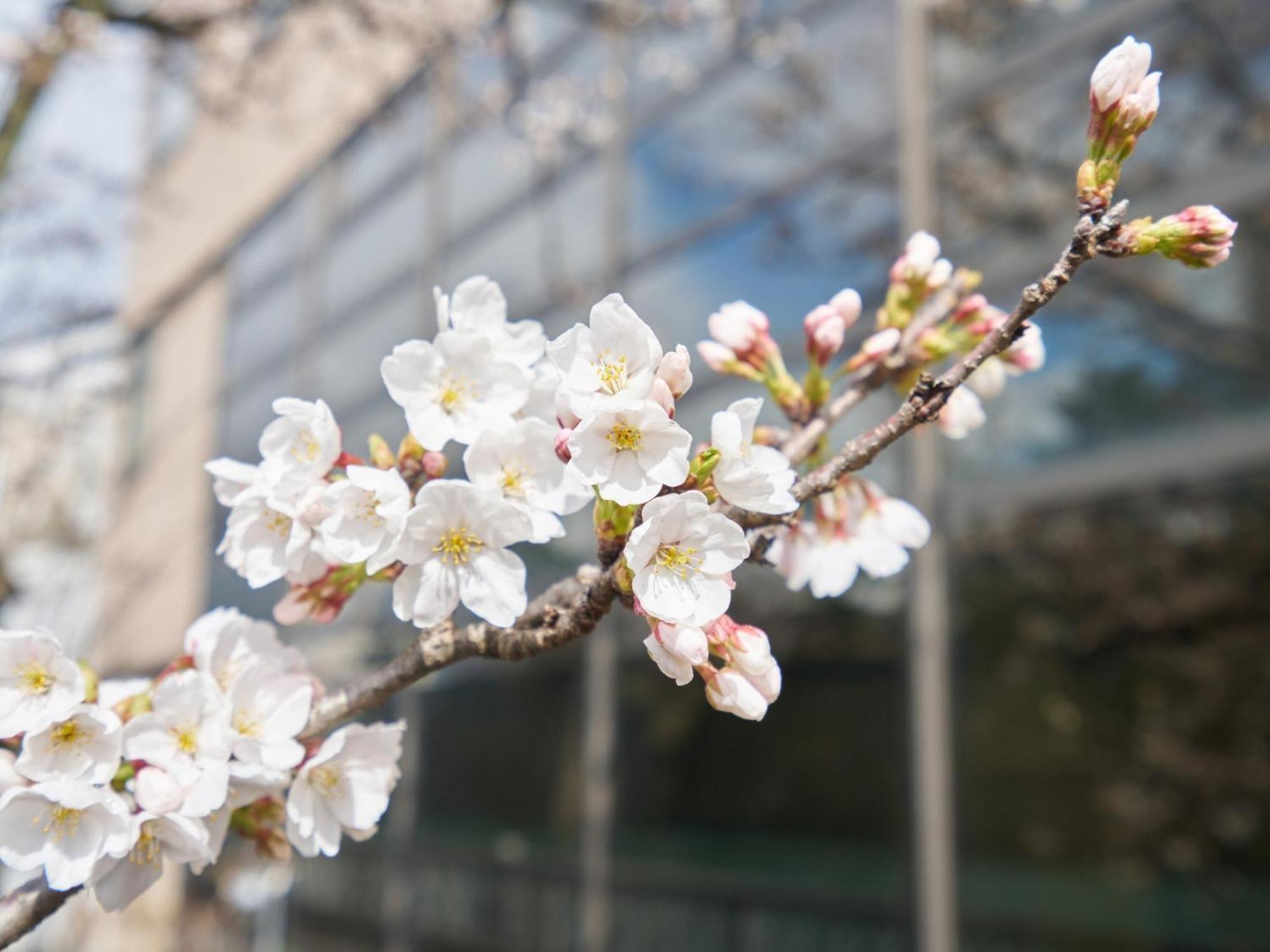 Hotel Fukui Castle - Vacation Stay 58696V Ngoại thất bức ảnh