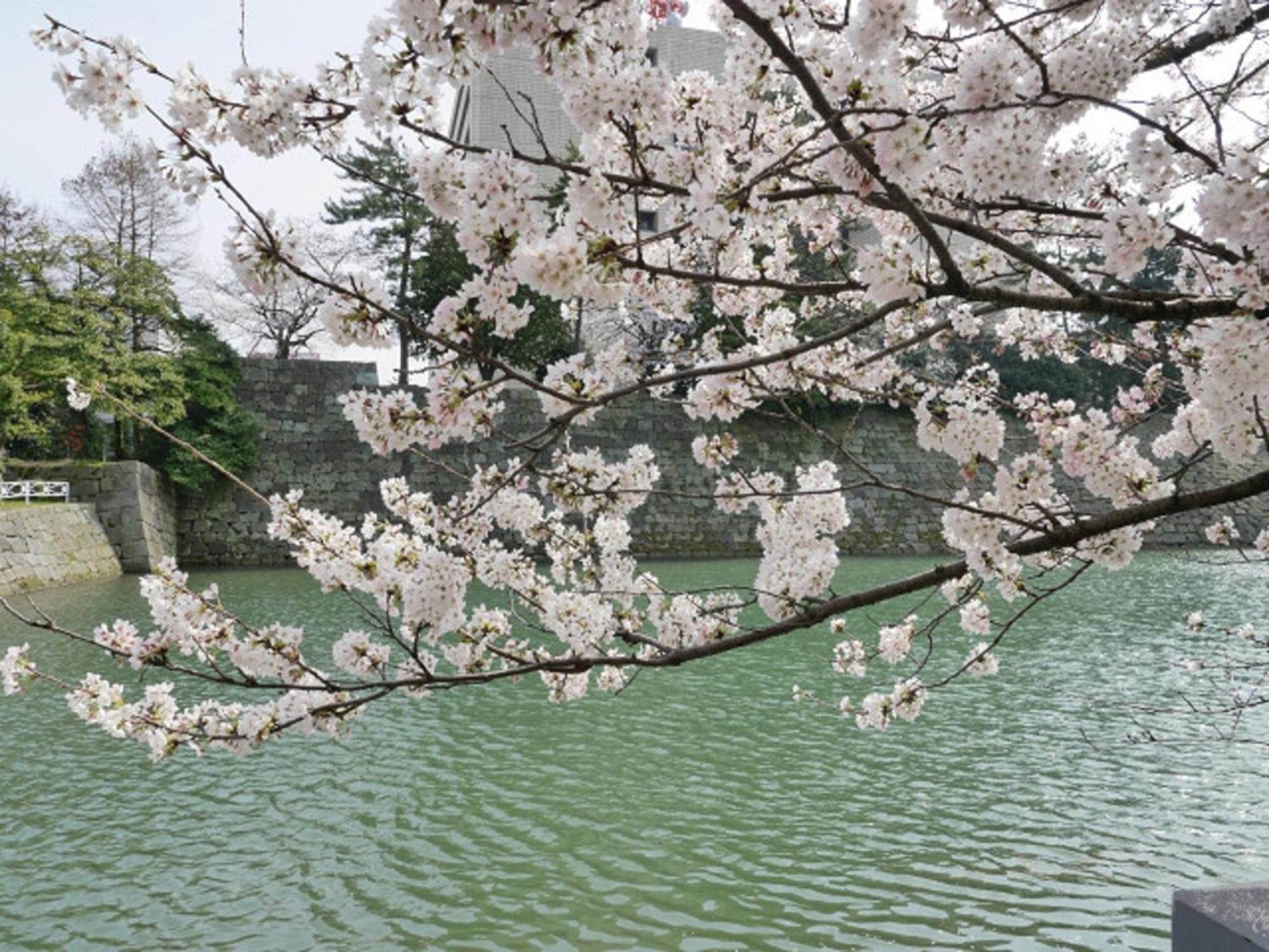 Hotel Fukui Castle - Vacation Stay 58696V Ngoại thất bức ảnh