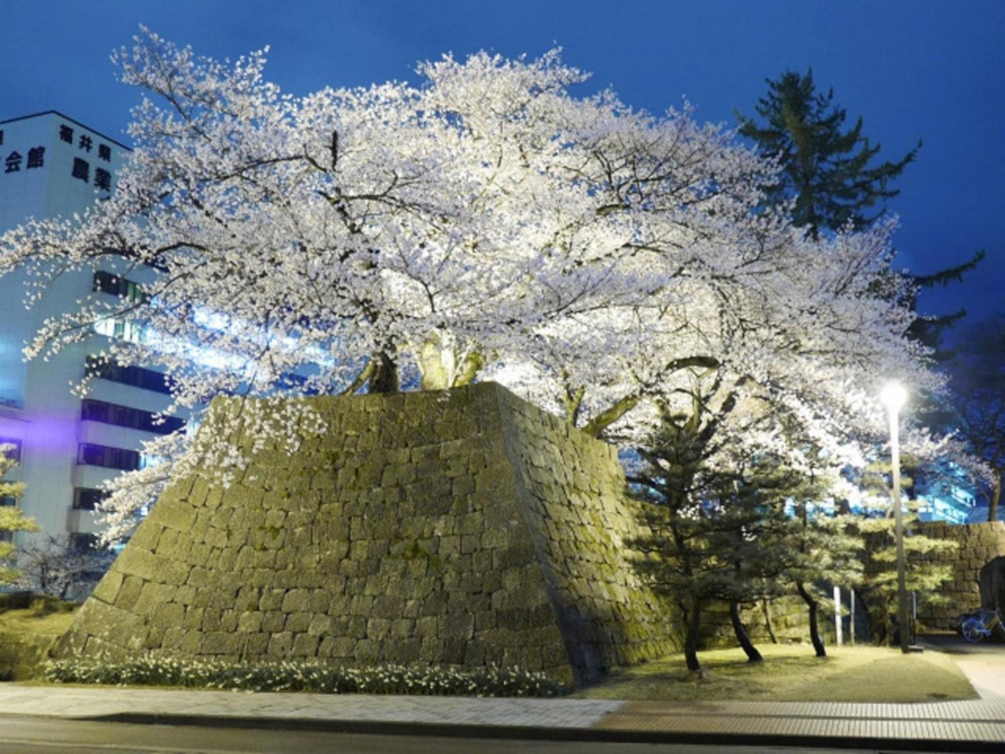 Hotel Fukui Castle - Vacation Stay 58696V Ngoại thất bức ảnh